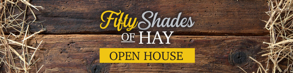 50-shades-Hay-2019