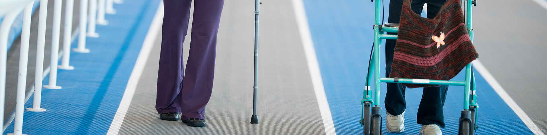 walking-track-blog