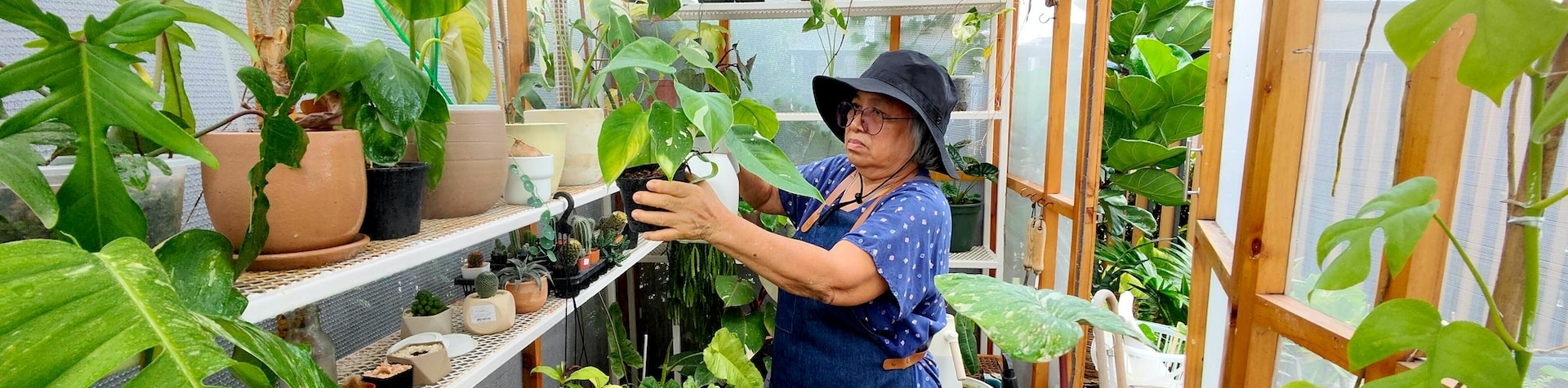 activity for seniors