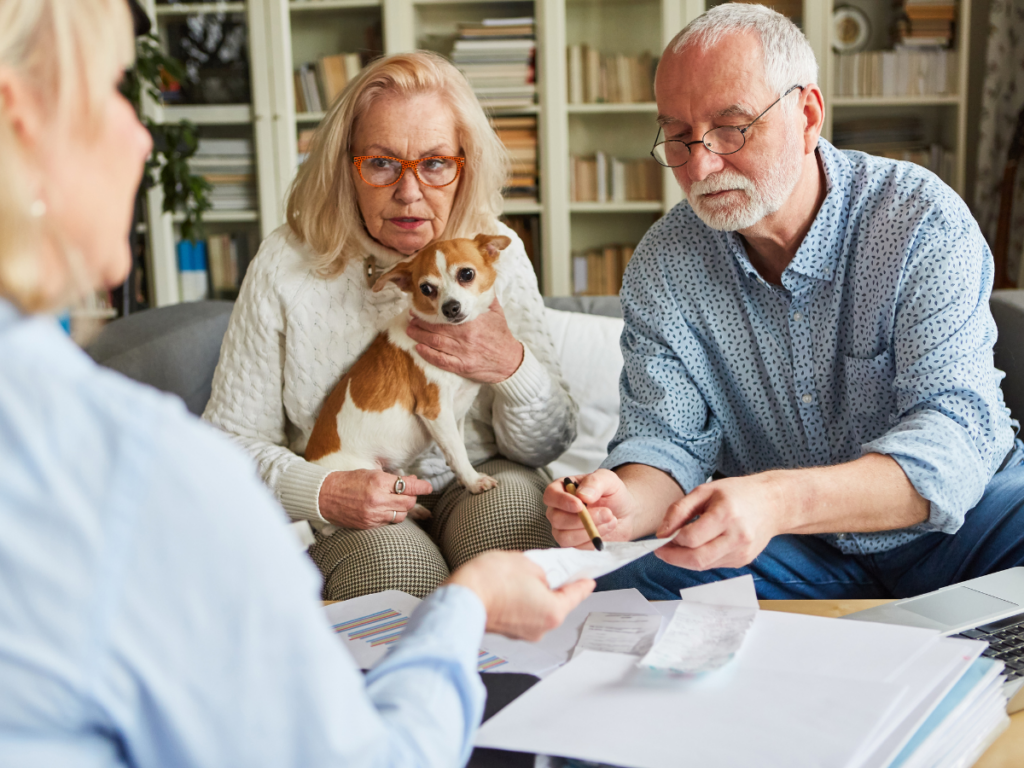 senior-tax-consultant