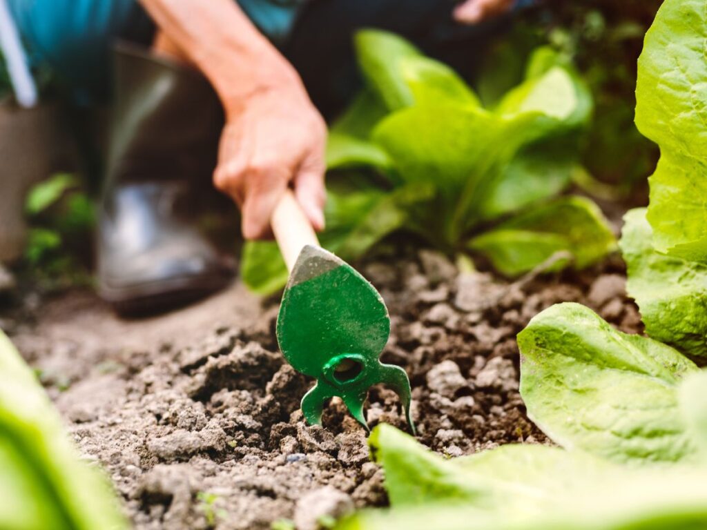 gardening-season-seniors