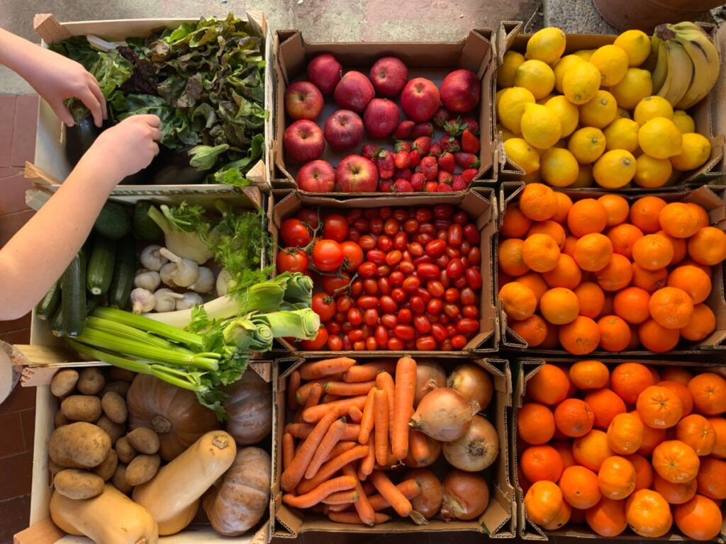 national-fresh-fruits-and-vegetables-month